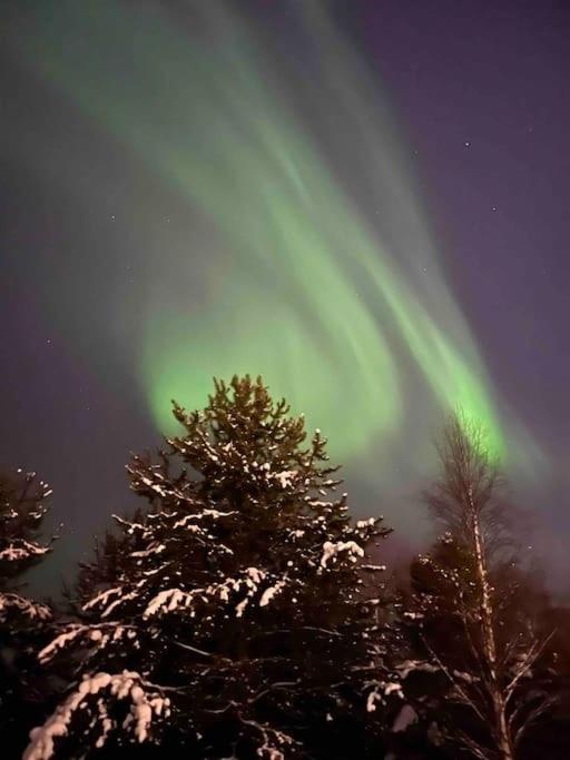 Spacious Apartment For 5 Next To The Train Station Rovaniemi Esterno foto